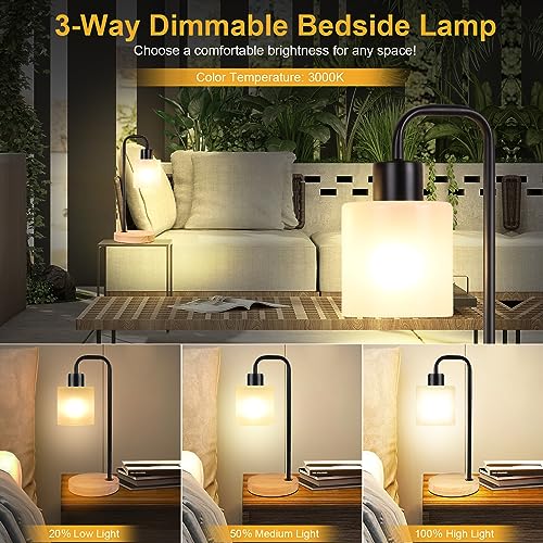 AdiyZ Lamps for Nightstand Set of 2 - Industrial Bedside Table Lamp for Bedroom - Modern Small Desk Light for Living Room 3-Way Dimmable Side Night Lamps for Reading (Black & 2 LED Bulbs Included)