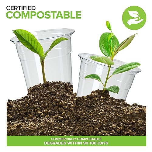 Stock Your Home 16 oz Clear Compostable Cups with Lids and Straws (Set of 50) Plant Based Biodegradable Cold Cups No Plastic Eco Party Cup, Environmentally Friendly Recyclable Disposable Sustainable