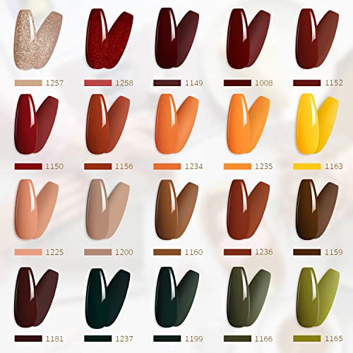 GAOY 23 Pcs Gel Nail Polish Kit, Fall Colors UV Gel Nail Polish Set with Glossy & Matte Top Coat and Base Coat for Nail Art Home DIY Gel Nail Kit