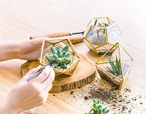 Mkono Artificial Succulent in 3 Pack Mini Glass Geometric Terrarium, Miniature Potted Faux Plant Bookshelf Desk Boho Office Room Decor for Women Girls Dorm Gift Idea, Gold