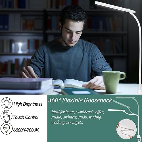 Hanbaak LED Desk Lamp with Clamp, Flexible Gooseneck Clamp Lamp, Touch Control, Stepless Dimmable Table Light for Reading Working, 13W White