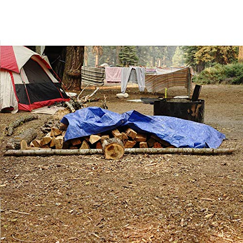 Grizzly Tarps by B-Air 8' x 10' Large Multi-Purpose Waterproof Heavy Duty Poly Tarp with Grommets Every 36", 8x8 Weave, 5 Mil Thick, for Home, Boats, Cars, Camping, Protective Cover, Blue