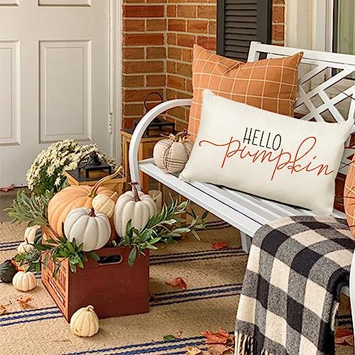 RABUSOFA Fall Throw Pillows Covers 12x20 Inch,Autumn Hello Pumpkin Pillows Decorative Throw Pillows,Lumbar Outdoor Thanksgiving Cushion Cover Farmhosue Fall Decor for Bedroom Couch Sofa White