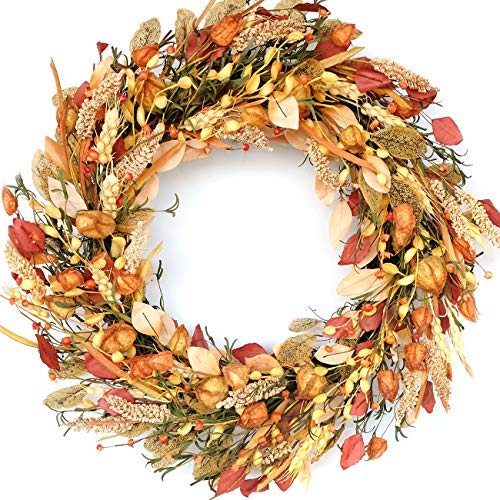 CIR OASES 22-23 inch Fall Wreath Berries Front Door Wreath Artificial Leaves Grain Wreath Harvest Wheat Ears Garland Autumn Wreath for Front Door Home Wall Party Fall Festival Decor