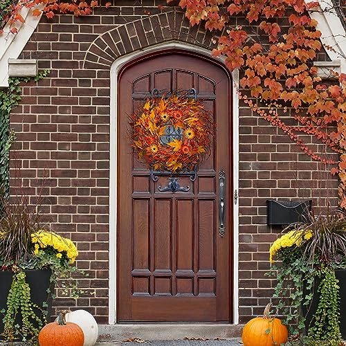 Sggvecsy Artificial Fall Wreath 22’’ Autumn Front Door Wreath Harvest Wreath with Pumpkin Daisy Berry Maple Leaves Fall Decorations for Outside Indoor Wall Window Festival Thanksgiving Autumn Decor