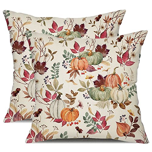 DFXSZ Fall Pillow Covers 18x18 inch Set of 2 Pumpkin Maple Leaf Flower Decorative Throw Pillow Covers Autumn Thanksgiving Farmhouse Decoration for Home Couch