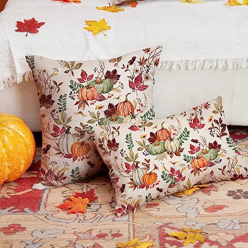 DFXSZ Fall Pillow Covers 18x18 inch Set of 2 Pumpkin Maple Leaf Flower Decorative Throw Pillow Covers Autumn Thanksgiving Farmhouse Decoration for Home Couch